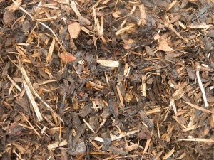 Graded wood chippings