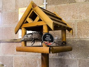 Handmade Bird House